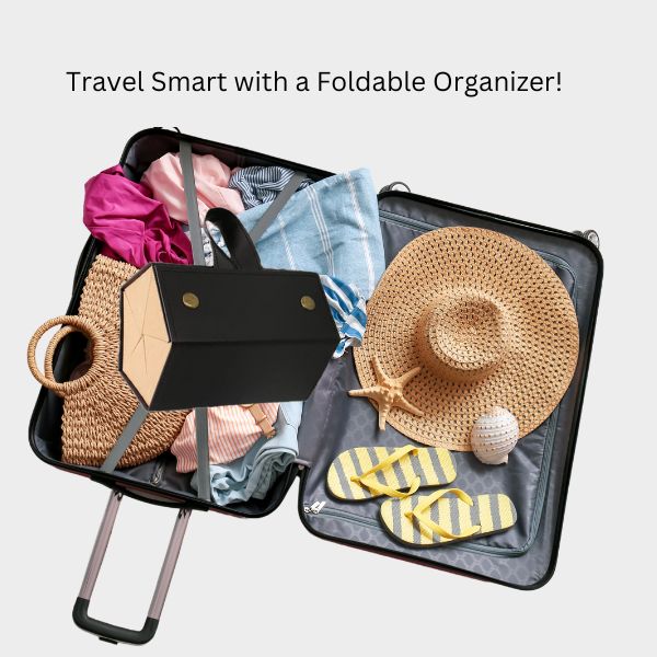 Foldable Sunglass Organizer - Image 3